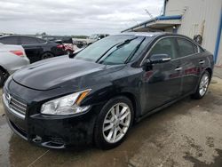 Nissan Maxima s salvage cars for sale: 2009 Nissan Maxima S