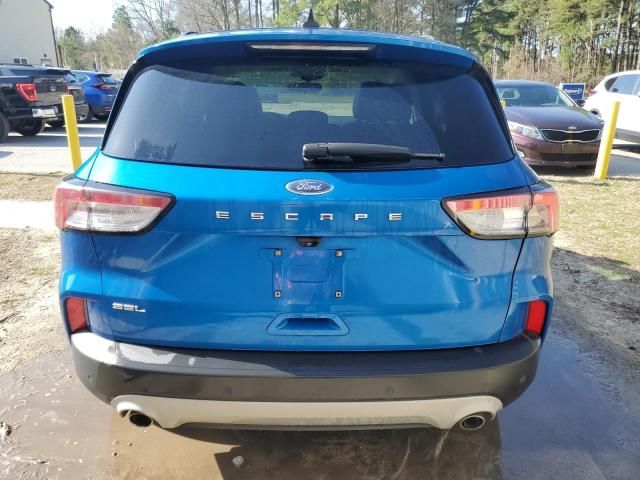 2021 Ford Escape SEL