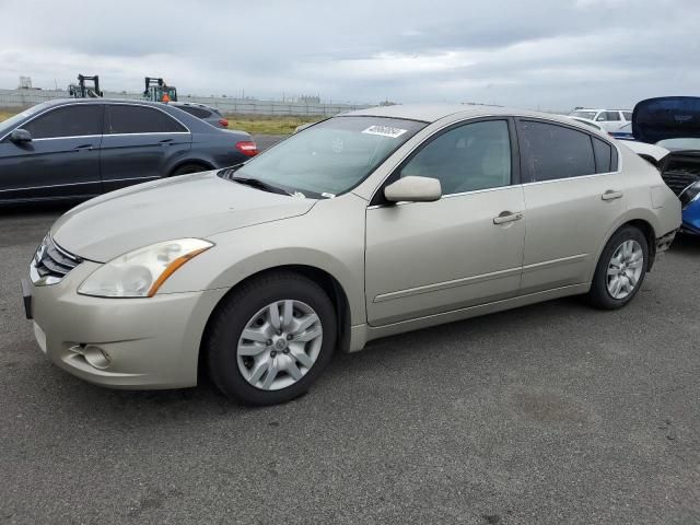 2010 Nissan Altima Base