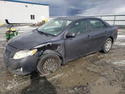 Salvage cars for sale from Copart Airway Heights, WA: 2009 Toyota Corolla Base