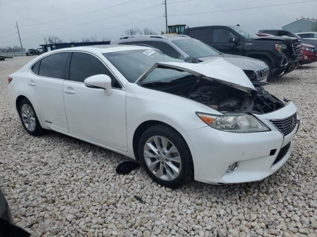 2013 Lexus ES 300H