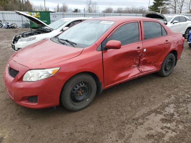 2010 Toyota Corolla Base