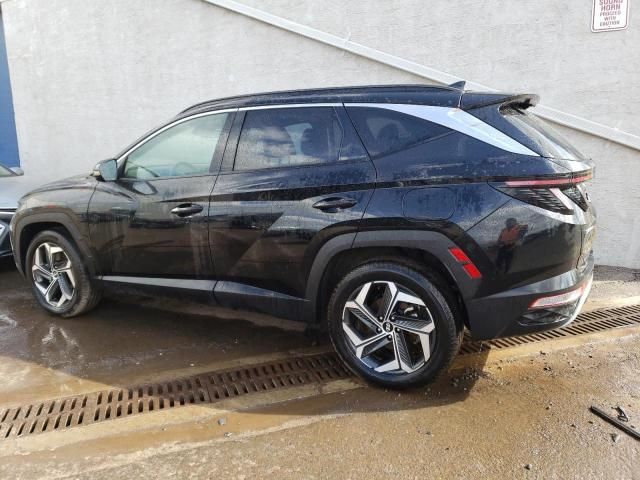 2023 Hyundai Tucson Limited