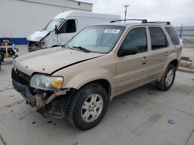 2007 Ford Escape Limited