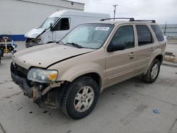 Ford Escape Limited salvage cars for sale: 2007 Ford Escape Limited