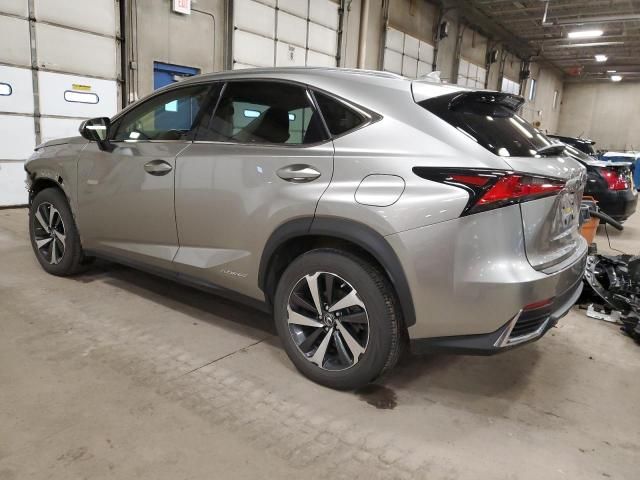 2019 Lexus NX 300H