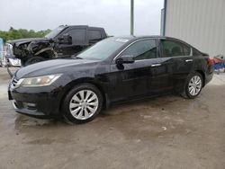 Honda Accord EXL salvage cars for sale: 2014 Honda Accord EXL