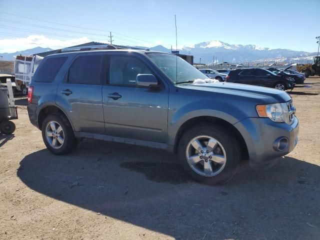 2012 Ford Escape Limited