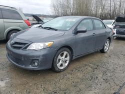 Salvage cars for sale from Copart Arlington, WA: 2012 Toyota Corolla Base