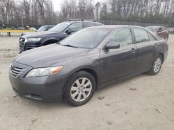 Toyota Camry Hybrid salvage cars for sale: 2008 Toyota Camry Hybrid