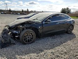 Vehiculos salvage en venta de Copart Mentone, CA: 2019 Tesla Model 3