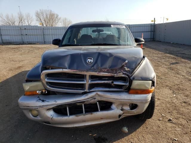 2002 Dodge Dakota Quad SLT