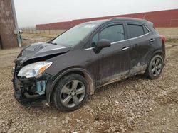 Salvage cars for sale at Rapid City, SD auction: 2013 Buick Encore Convenience