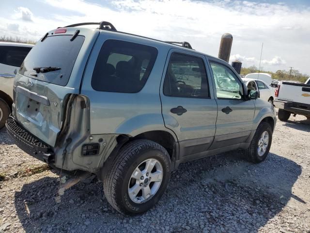 2007 Ford Escape XLT