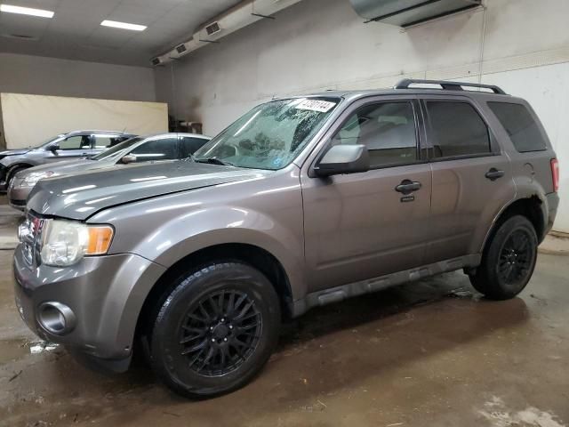 2010 Ford Escape XLT