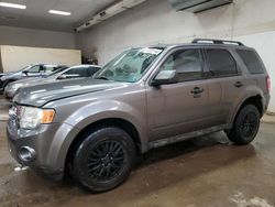 Ford Escape XLT salvage cars for sale: 2010 Ford Escape XLT