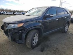 KIA Sorento LX Vehiculos salvage en venta: 2013 KIA Sorento LX