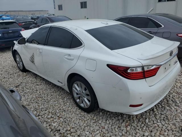 2013 Lexus ES 300H