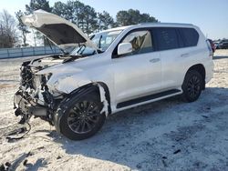 Lexus salvage cars for sale: 2023 Lexus GX 460