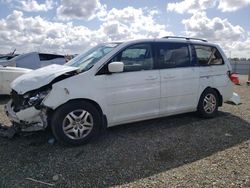 Salvage cars for sale at Antelope, CA auction: 2006 Honda Odyssey EXL