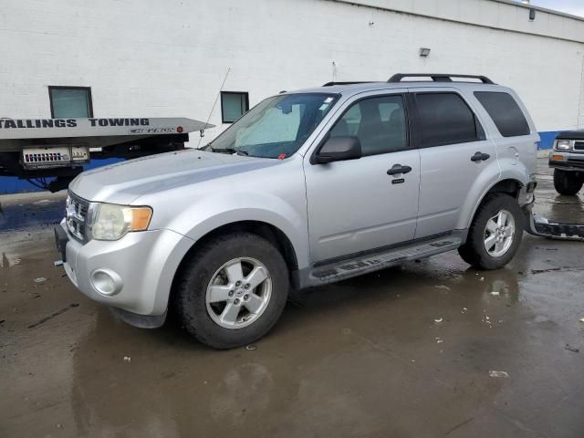 2010 Ford Escape XLT