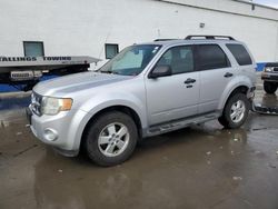 Salvage cars for sale from Copart Farr West, UT: 2010 Ford Escape XLT