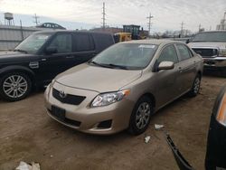 Salvage cars for sale at Chicago Heights, IL auction: 2009 Toyota Corolla Base