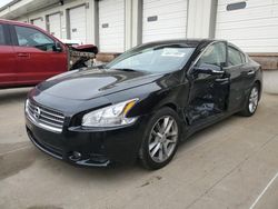 Salvage cars for sale from Copart Louisville, KY: 2010 Nissan Maxima S