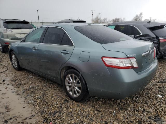 2011 Toyota Camry Hybrid