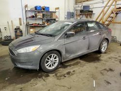 Salvage cars for sale at Ham Lake, MN auction: 2018 Ford Focus SE
