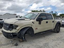 Salvage trucks for sale at Opa Locka, FL auction: 2013 Ford F150 SVT Raptor