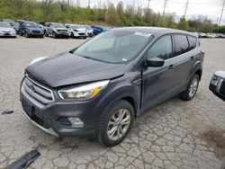 Salvage cars for sale at Bridgeton, MO auction: 2017 Ford Escape SE