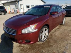 Salvage cars for sale from Copart Pekin, IL: 2010 Nissan Maxima S