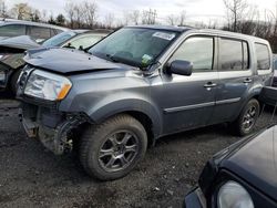 Honda Pilot EXL salvage cars for sale: 2013 Honda Pilot EXL