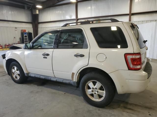 2010 Ford Escape XLT