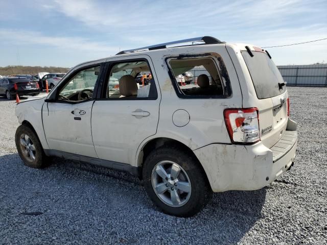 2010 Ford Escape Limited