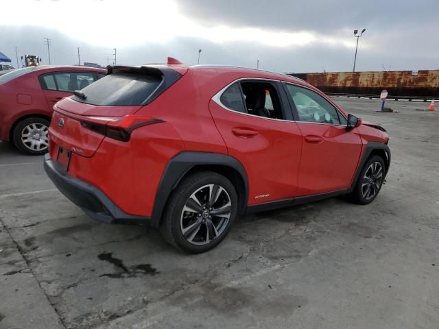 2019 Lexus UX 250H