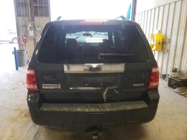 2008 Ford Escape Limited