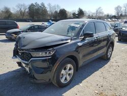 Salvage cars for sale at Madisonville, TN auction: 2023 KIA Sorento LX