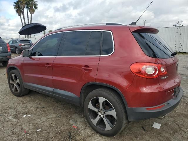 2010 Volkswagen Tiguan S