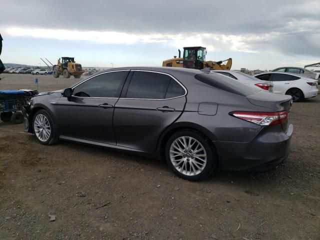 2019 Toyota Camry Hybrid