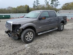 Salvage cars for sale from Copart Augusta, GA: 2011 Ford F150 Supercrew