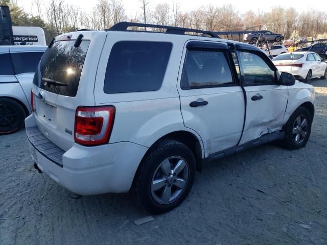 2010 Ford Escape XLT