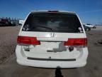 2008 Honda Odyssey EXL