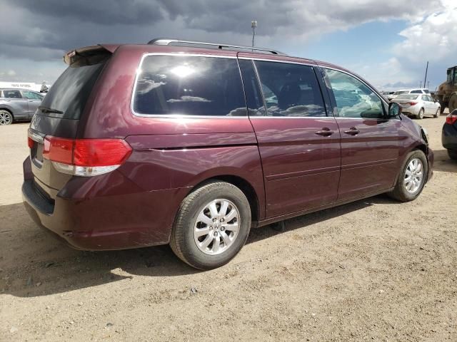 2010 Honda Odyssey EXL