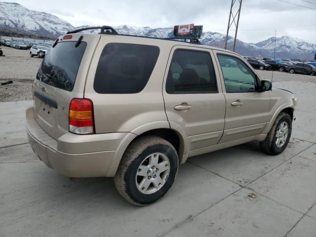 2007 Ford Escape Limited