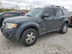 2008 Ford Escape XLT en venta en Bridgeton, MO