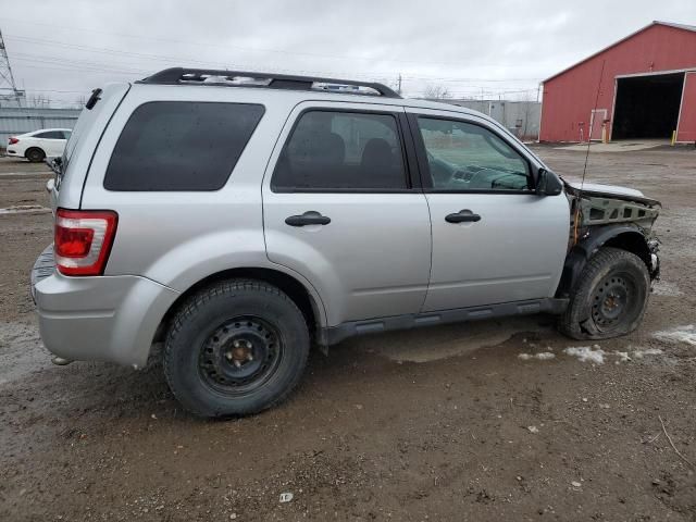 2010 Ford Escape XLT