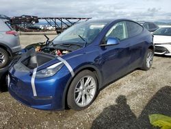 Salvage cars for sale at Vallejo, CA auction: 2023 Tesla Model Y