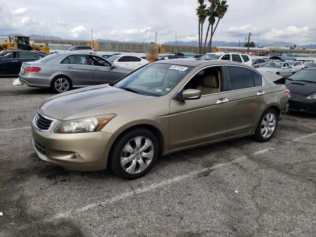 2010 Honda Accord EXL